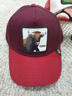 Gorra Gucci